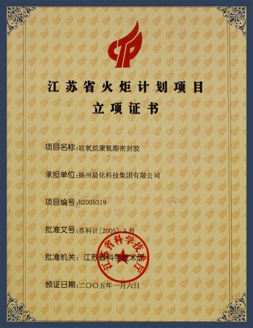 江苏省火炬计划项目立项证书