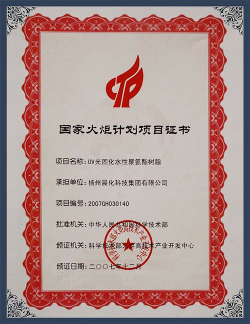 江苏省火炬计划项目证书