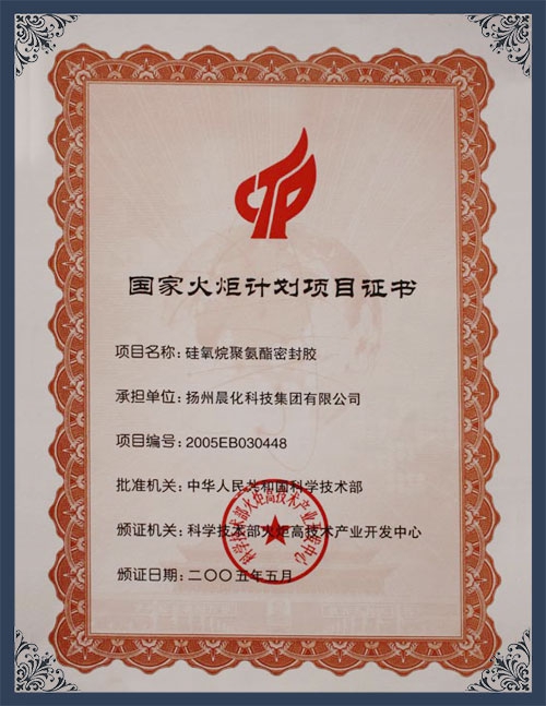 江苏省火炬计划项目证书